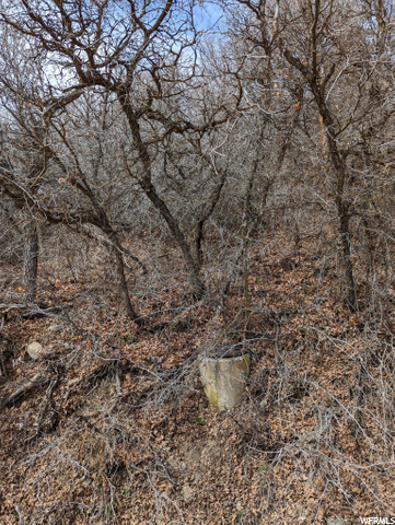 460 N 5100 E, Eden, UT 84310 — photo 2