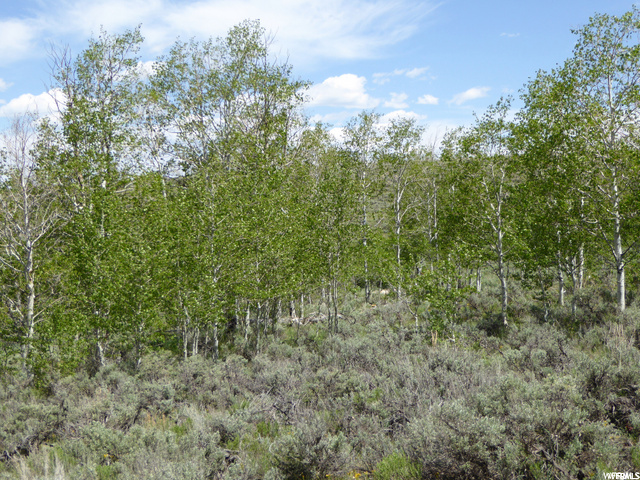 #59, Scofield, UT 84526 — photo 10