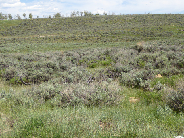 #59, Scofield, UT 84526 — photo 5