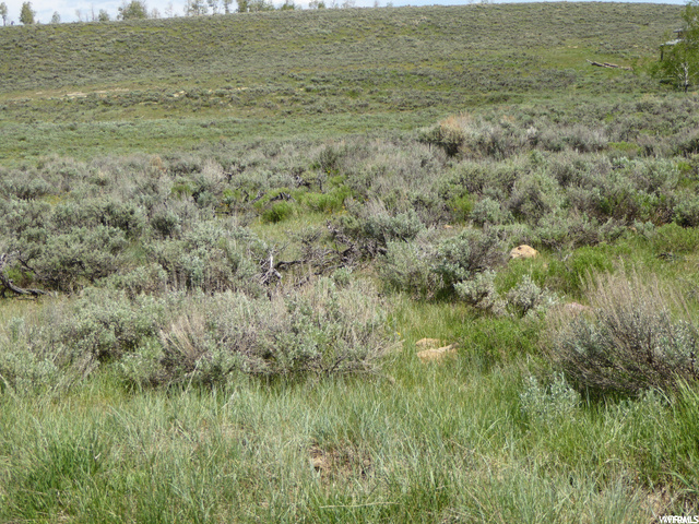 #59, Scofield, UT 84526 — photo 4