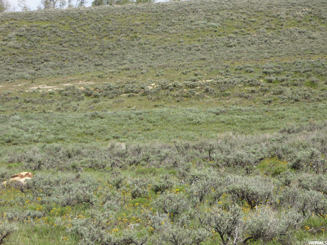#59, Scofield, UT 84526 — photo 11