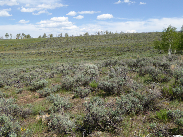 #59, Scofield, UT 84526 — photo 6