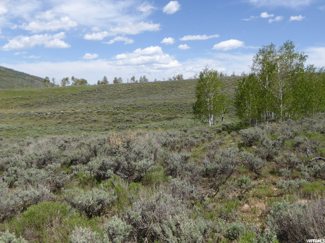 #59, Scofield, UT 84526 — photo 3