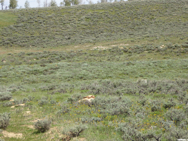 #59, Scofield, UT 84526 — photo 9