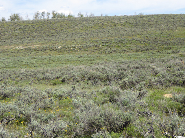 #59, Scofield, UT 84526 — photo 12
