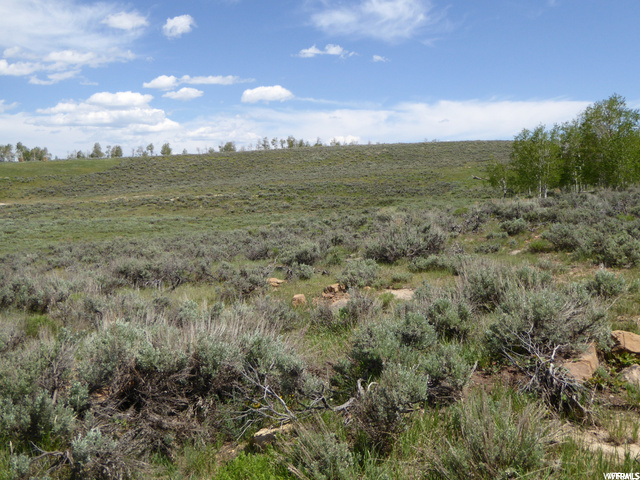 #59, Scofield, UT 84526 — photo 2