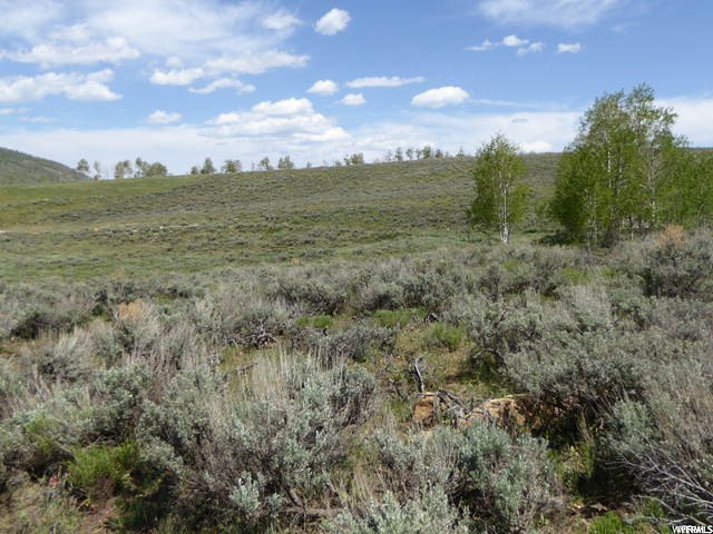 #59, Scofield, UT 84526 — photo 7