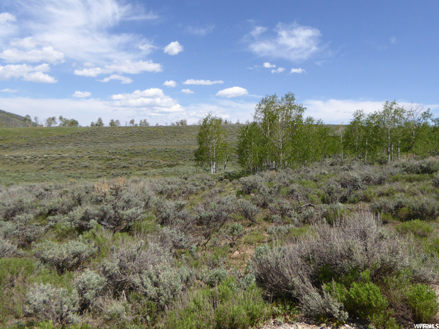 #59, Scofield, UT 84526 — photo 8