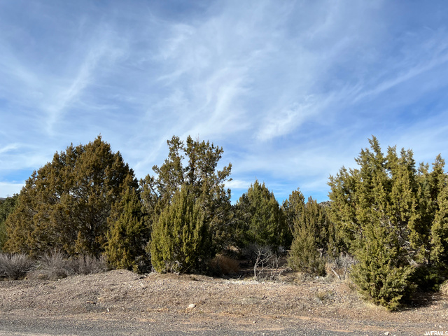 177 E Forest Dr #5, Central, UT 84722 — photo 3