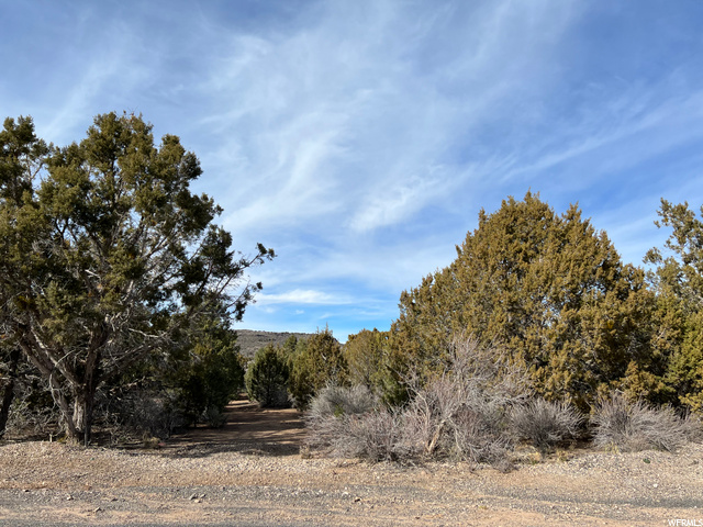 177 E Forest Dr #5, Central, UT 84722 — photo 2