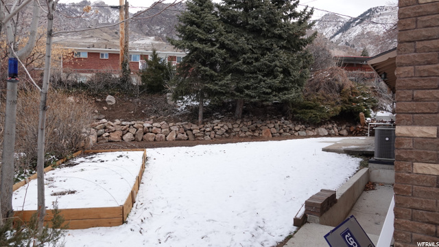 Fully Landscaped Backyard