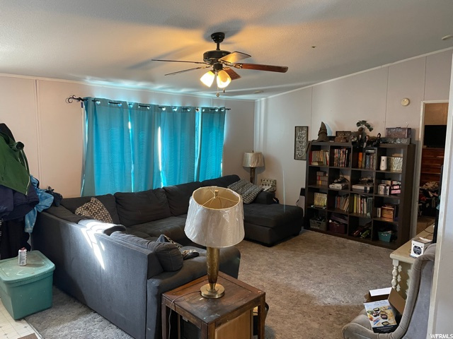 797 E Maple St, Wellington, UT 84542 — photo 6