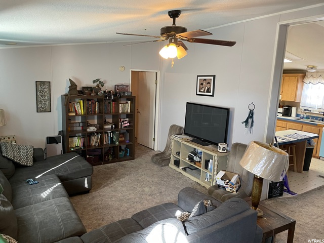797 E Maple St, Wellington, UT 84542 — photo 5
