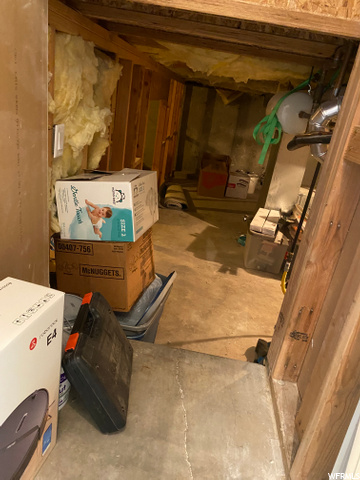 Crawl space/storage