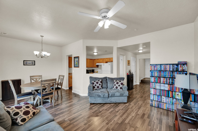 Family Room/Dining Room/Kitchen