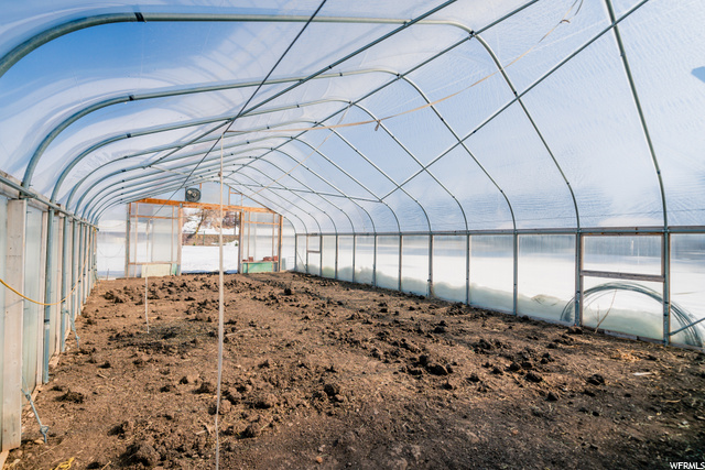 Greenhouse