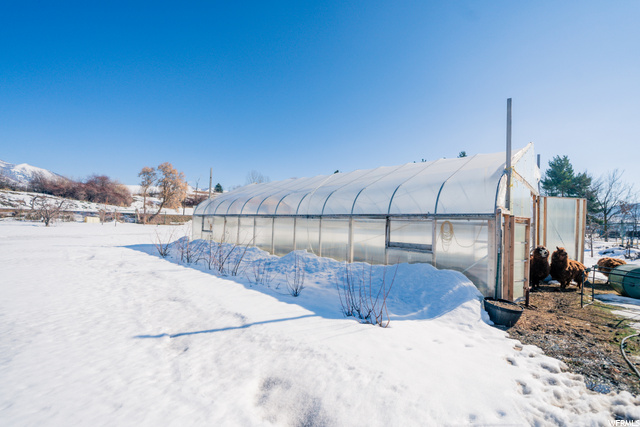 Greenhouse