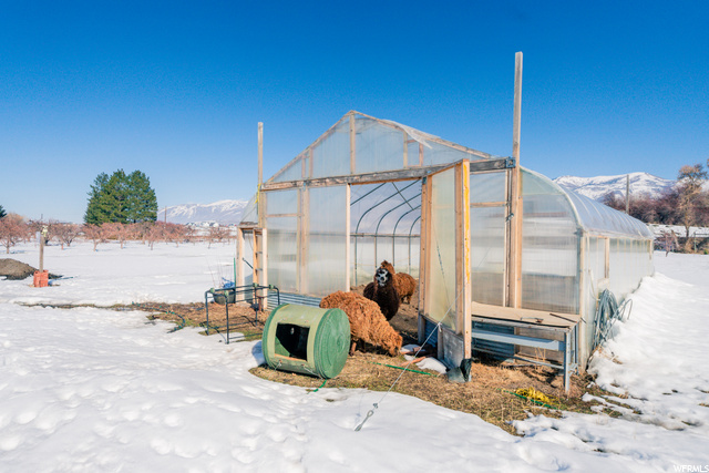 Greenhouse