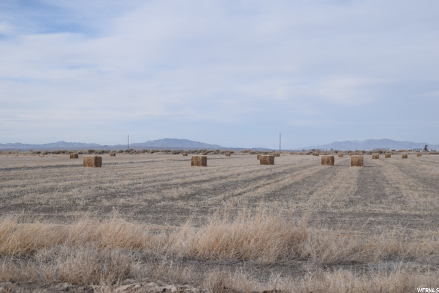 Hinckley, UT 84635 — photo 9