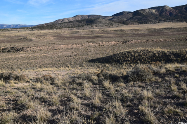 Levan, UT 84639 — photo 7