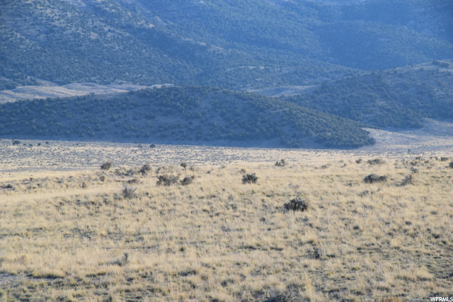 Levan, UT 84639 — photo 3