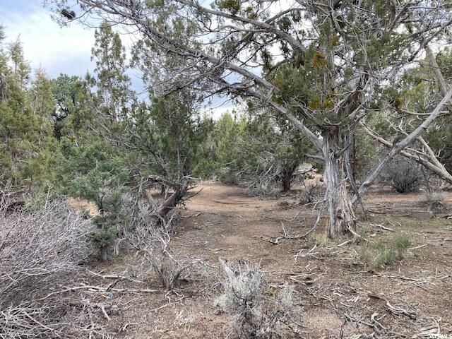 149 E Forest Dr #3, Central, UT 84722 — photo 3