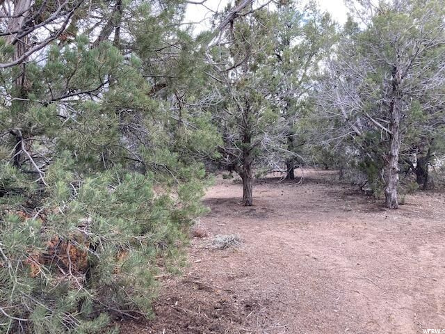 149 E Forest Dr #3, Central, UT 84722 — photo 4