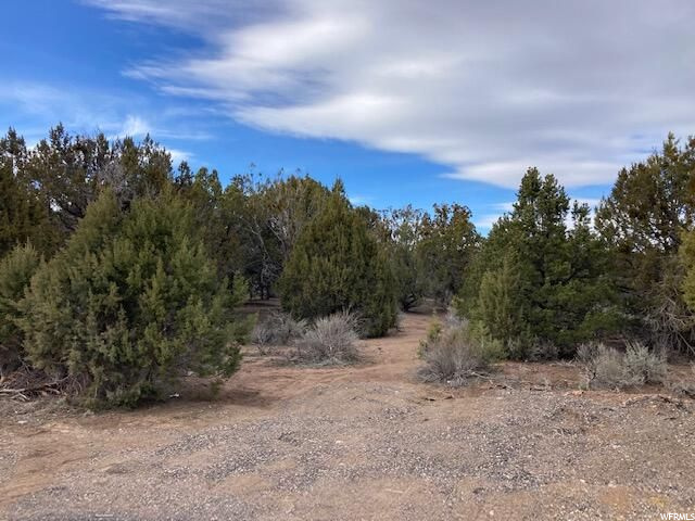 149 E Forest Dr #3, Central, UT 84722 — photo 6