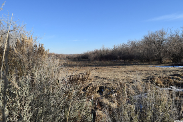 7130 E 8500 N, Lapoint, UT 84039 — photo 11