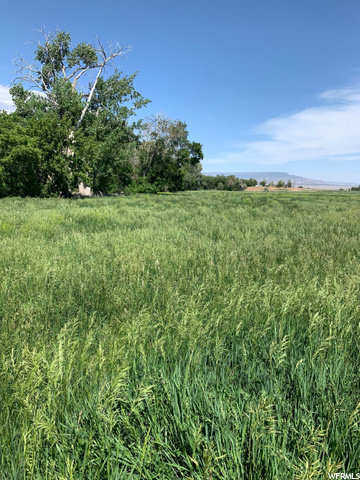 971 E 5000 S, Vernal, UT 84078 — photo 4