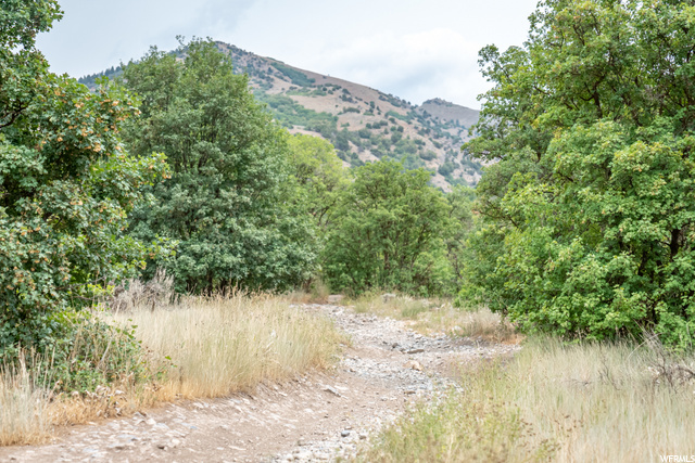 Hyde Park, UT 84318 — photo 5
