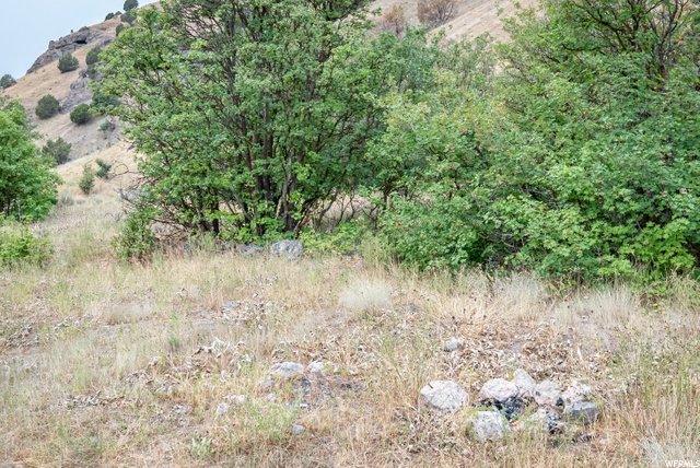 Hyde Park, UT 84318 — photo 11