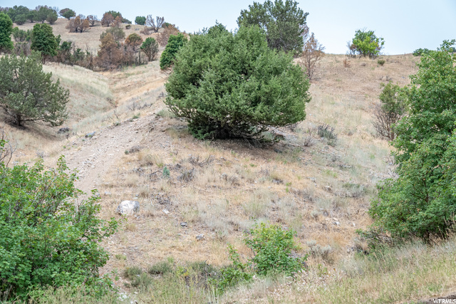 Hyde Park, UT 84318 — photo 9