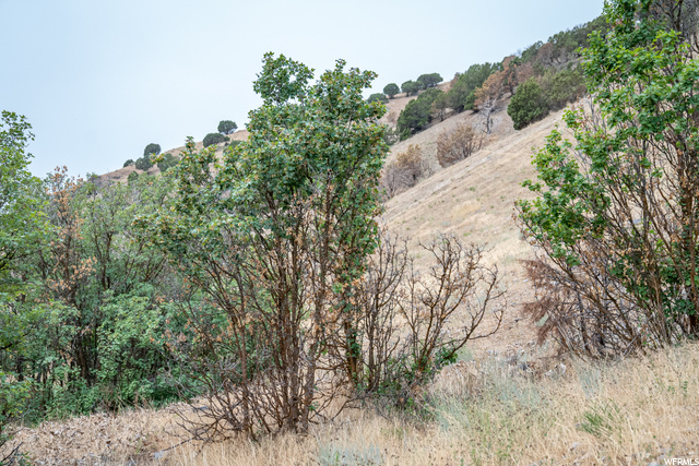 Hyde Park, UT 84318 — photo 10