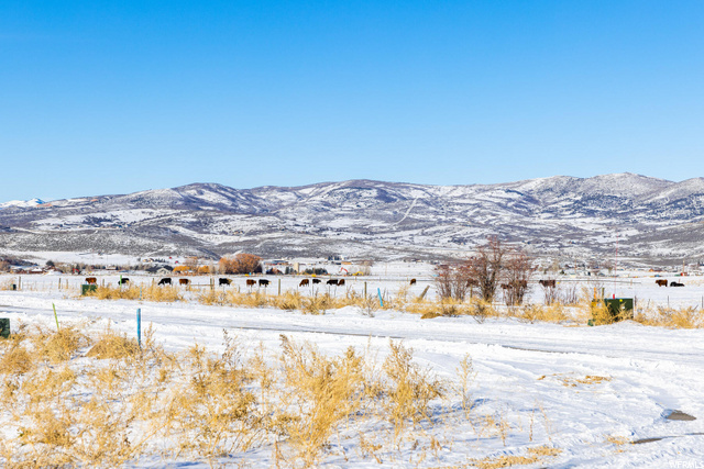 101 Delaney Dr, Kamas, UT 84036 — photo 8