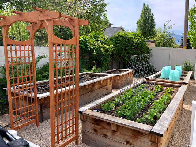 Raised Garden Boxes