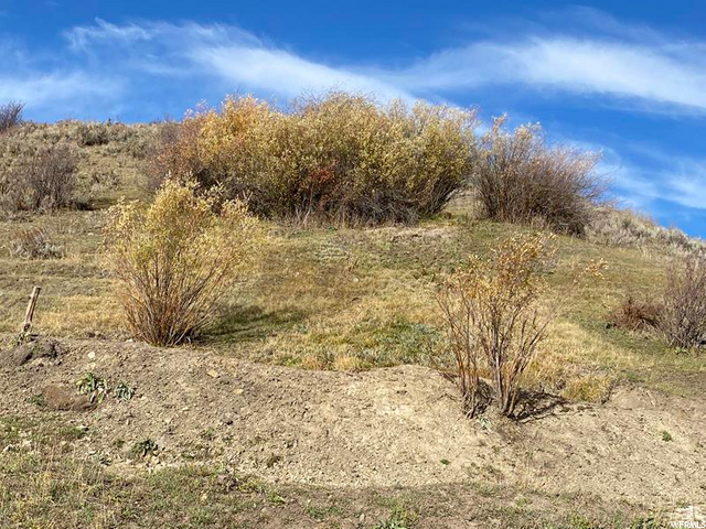 100 #3, Freedom, WY 83120 — photo 7