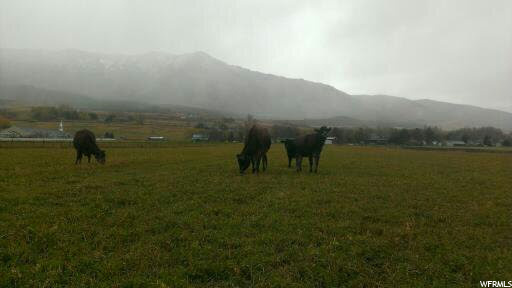Mendon, UT 84325 — photo 7