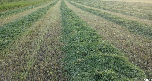 Mendon, UT 84325 — photo 11
