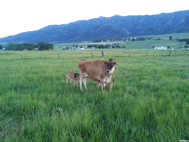 Mendon, UT 84325 — photo 6