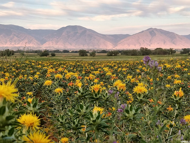 Mendon, UT 84325 — photo 3