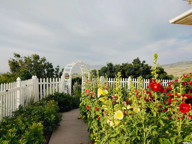 Perennials