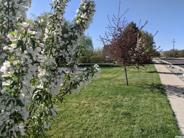 448 W 3300 S, Nibley, UT 84321 — photo 4