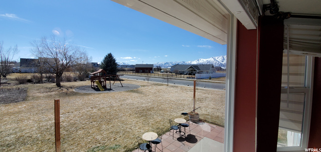 Views from the kitchen window