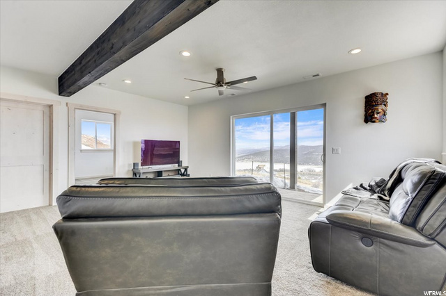 Lower level living area