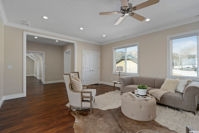 Loft Area
