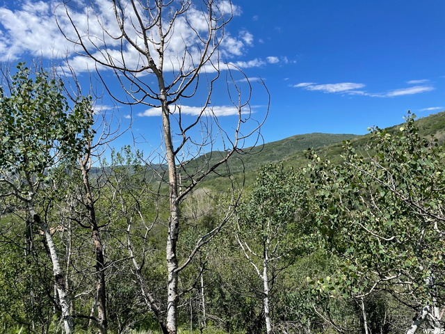 1 Hoback #1, Oakley, UT 84055 — photo 11