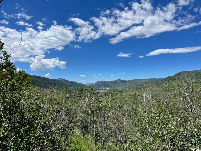1 Hoback #1, Oakley, UT 84055 — photo 4
