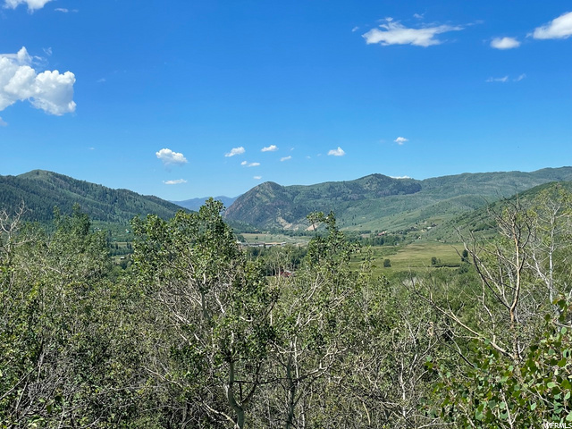 1 Hoback #1, Oakley, UT 84055 — photo 3