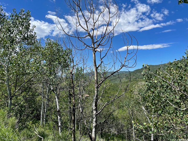 1 Hoback #1, Oakley, UT 84055 — photo 12